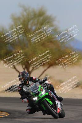 media/Nov-05-2022-SoCal Trackdays (Sat) [[f8d9b725ab]]/Turn 4 Tree of Life (125pm)/